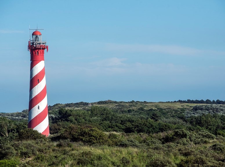 De rood-witte vuurtoren van Nieuw-Haamstede boven de bossen van de Kop van Schouwen